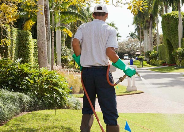 About Axson GA Pest Control Pros